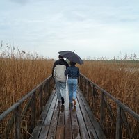 sillalla sateenvarjon alla kävelevä pari